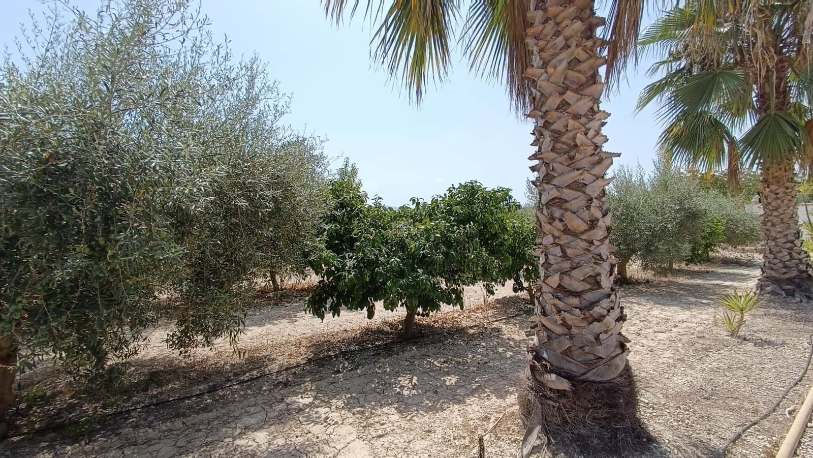 3 soverom Villa til salgs i Bufali med svømmebasseng - € 395 000 (Ref: 8912265)