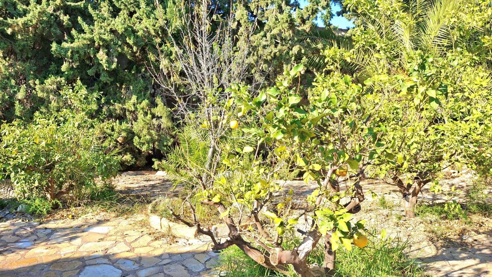 5 makuuhuone Huvila myytävänä paikassa Muchamiel / Mutxamel - 650 000 € (Ref: 9466037)