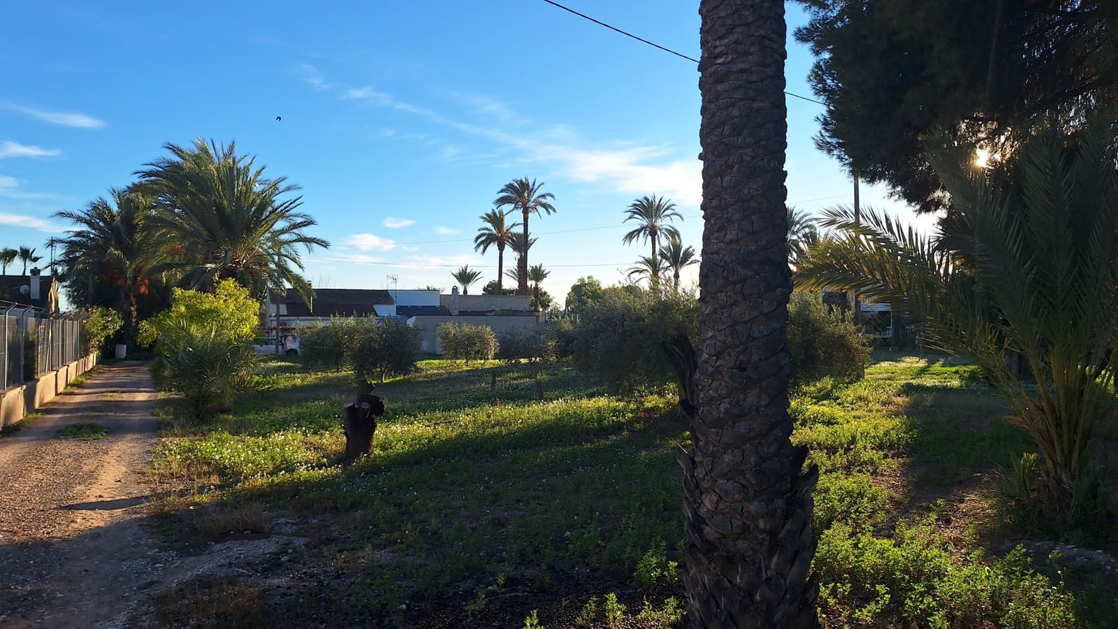 4 sypialnia Willa na sprzedaż w Elche / Elx z garażem - 460 000 € (Ref: 9548618)