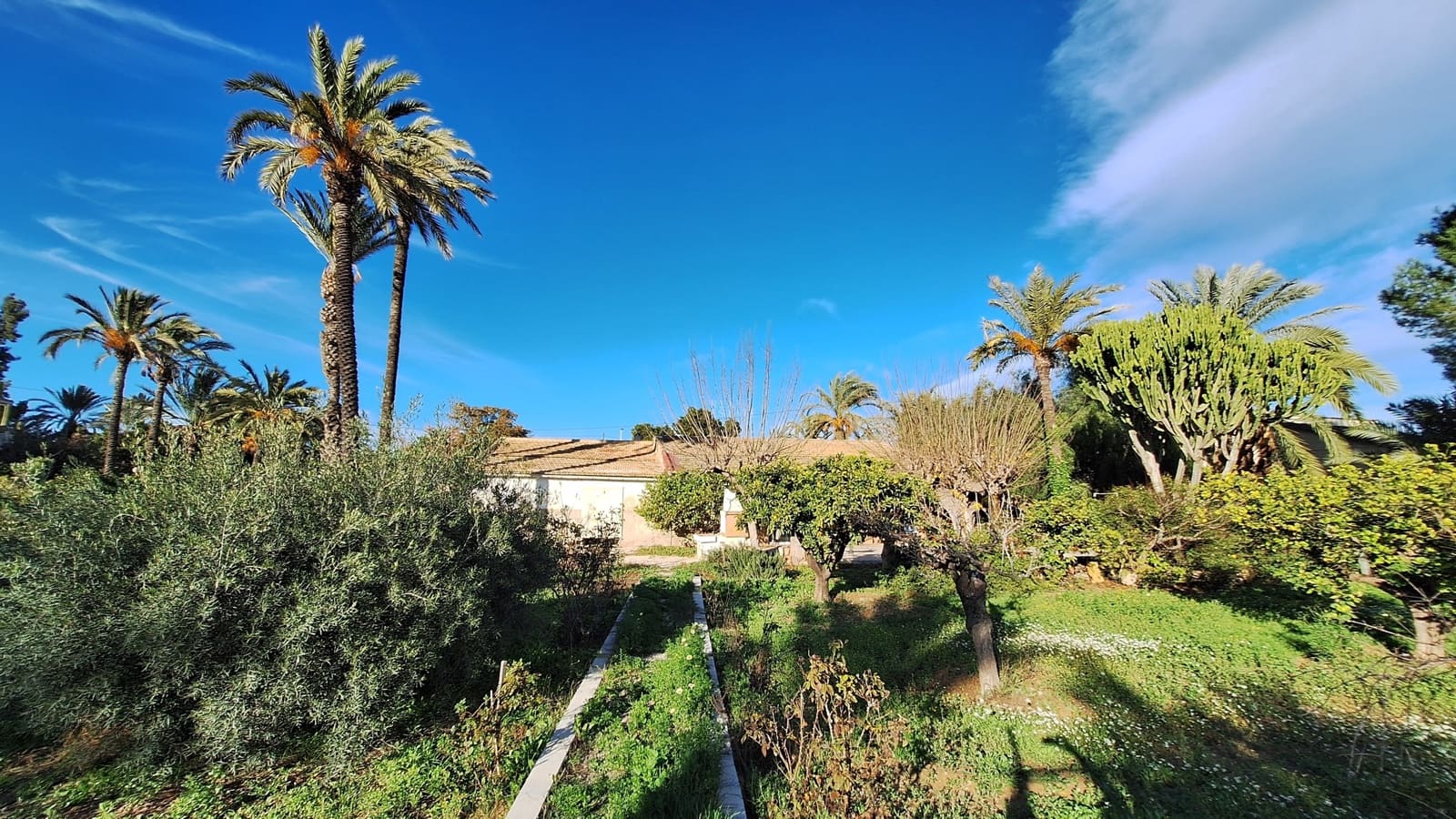 4 sypialnia Willa na sprzedaż w Elche / Elx z garażem - 460 000 € (Ref: 9548618)