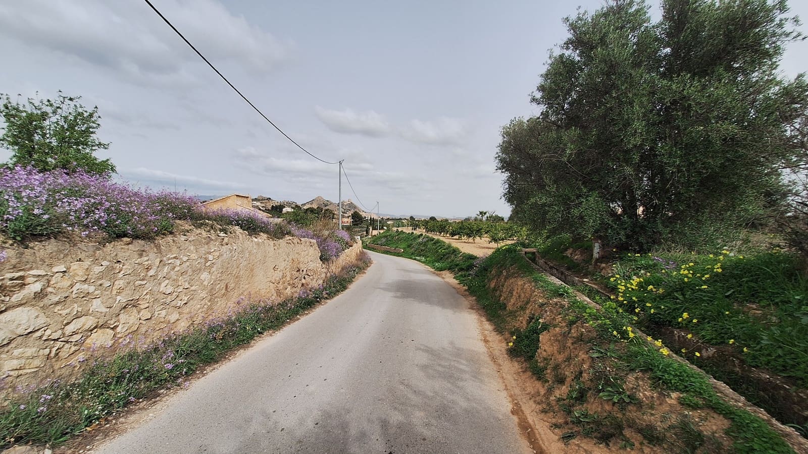 4 camera da letto Finca/Casa di Campagna in vendita in Mula con piscina - 430.000 € (Rif: 9685753)