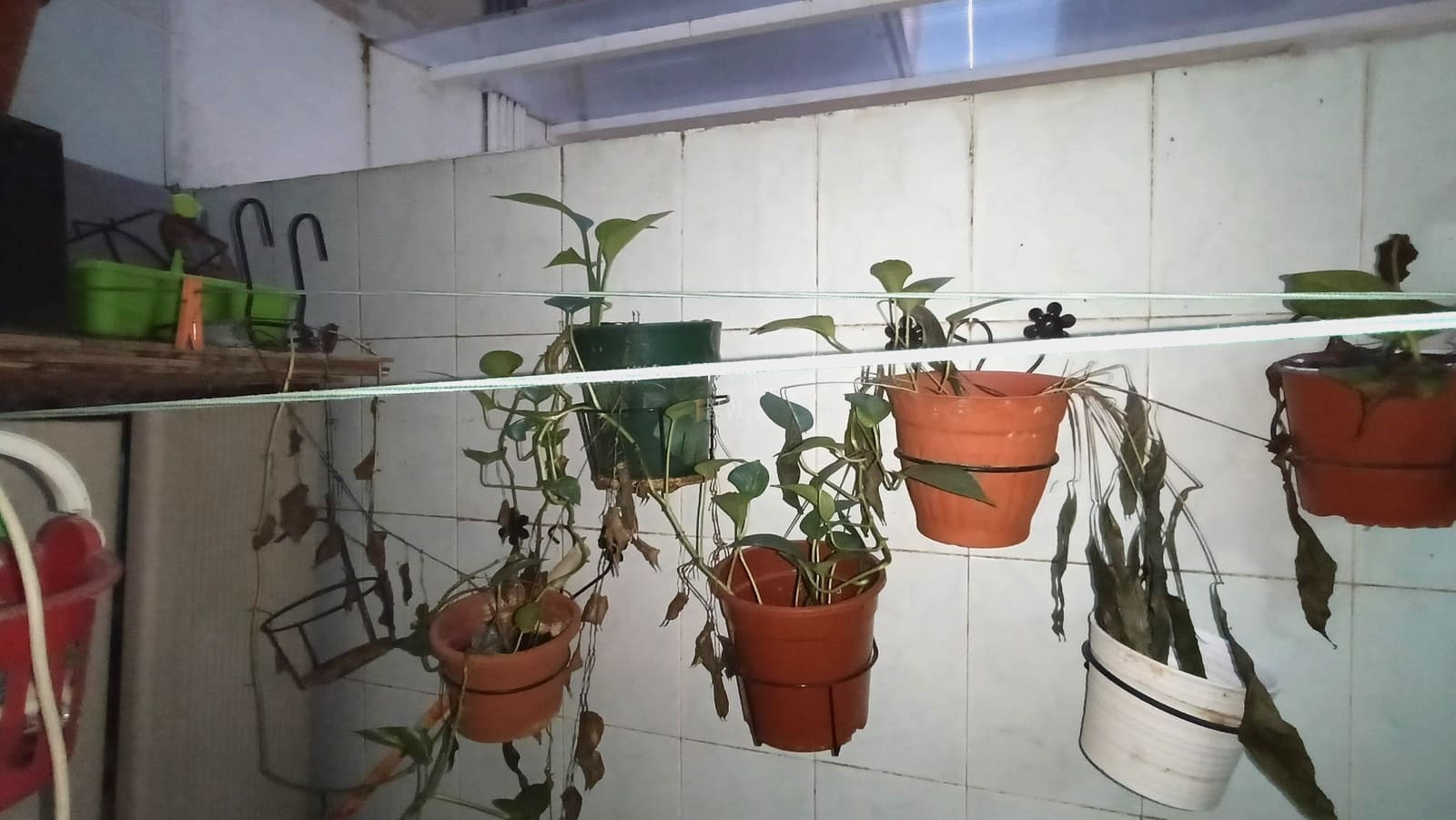 3 Zimmer Apartment zu verkaufen in Elche / Elx - 249.900 € (Ref: 9700181)