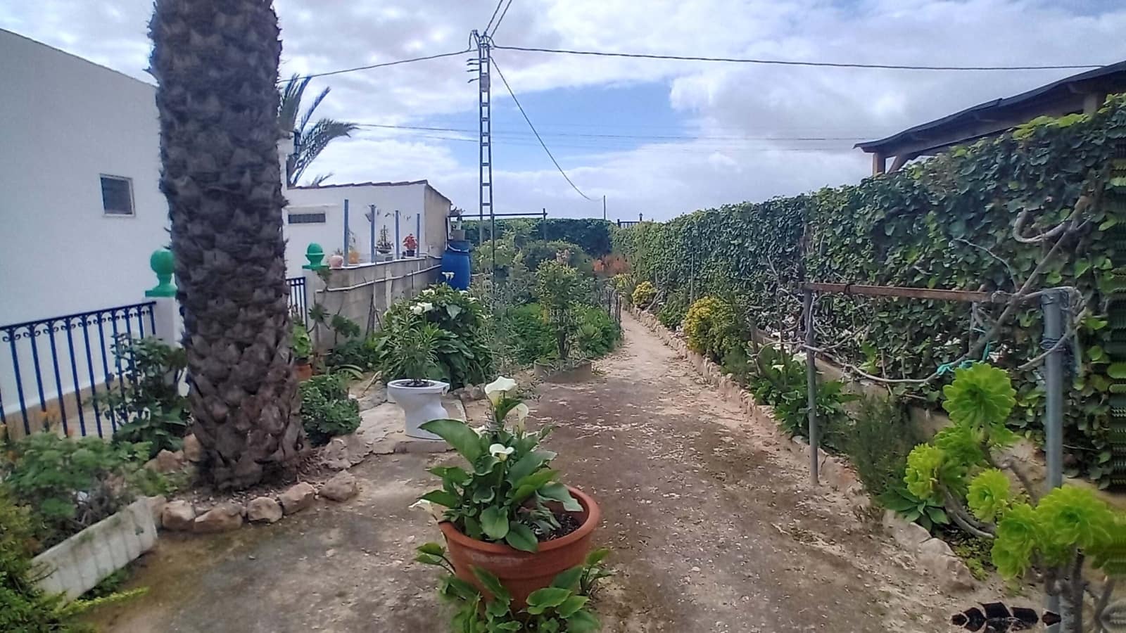 5 camera da letto Appartamento in vendita in Elche / Elx con piscina garage - 530.000 € (Rif: 9730504)