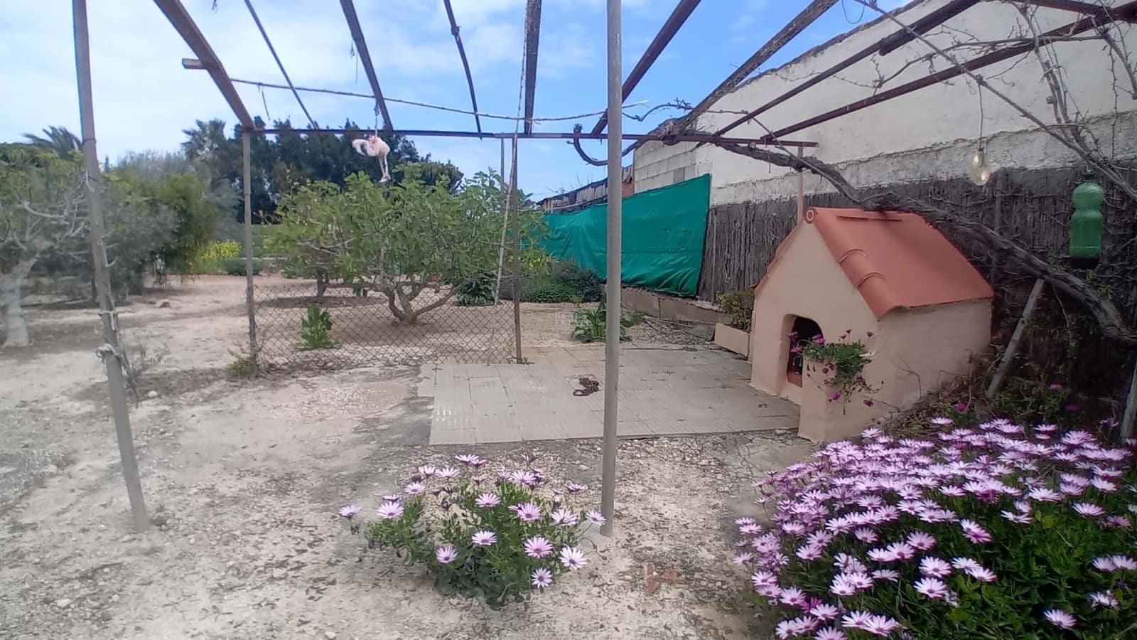 5 camera da letto Appartamento in vendita in Elche / Elx con piscina garage - 530.000 € (Rif: 9730504)