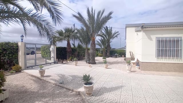 5 camera da letto Appartamento in vendita in Elche / Elx con piscina garage - 530.000 € (Rif: 9730504)