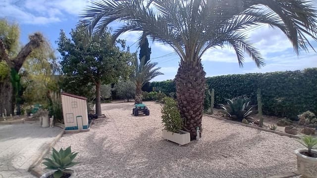 5 camera da letto Appartamento in vendita in Elche / Elx con piscina garage - 530.000 € (Rif: 9730504)