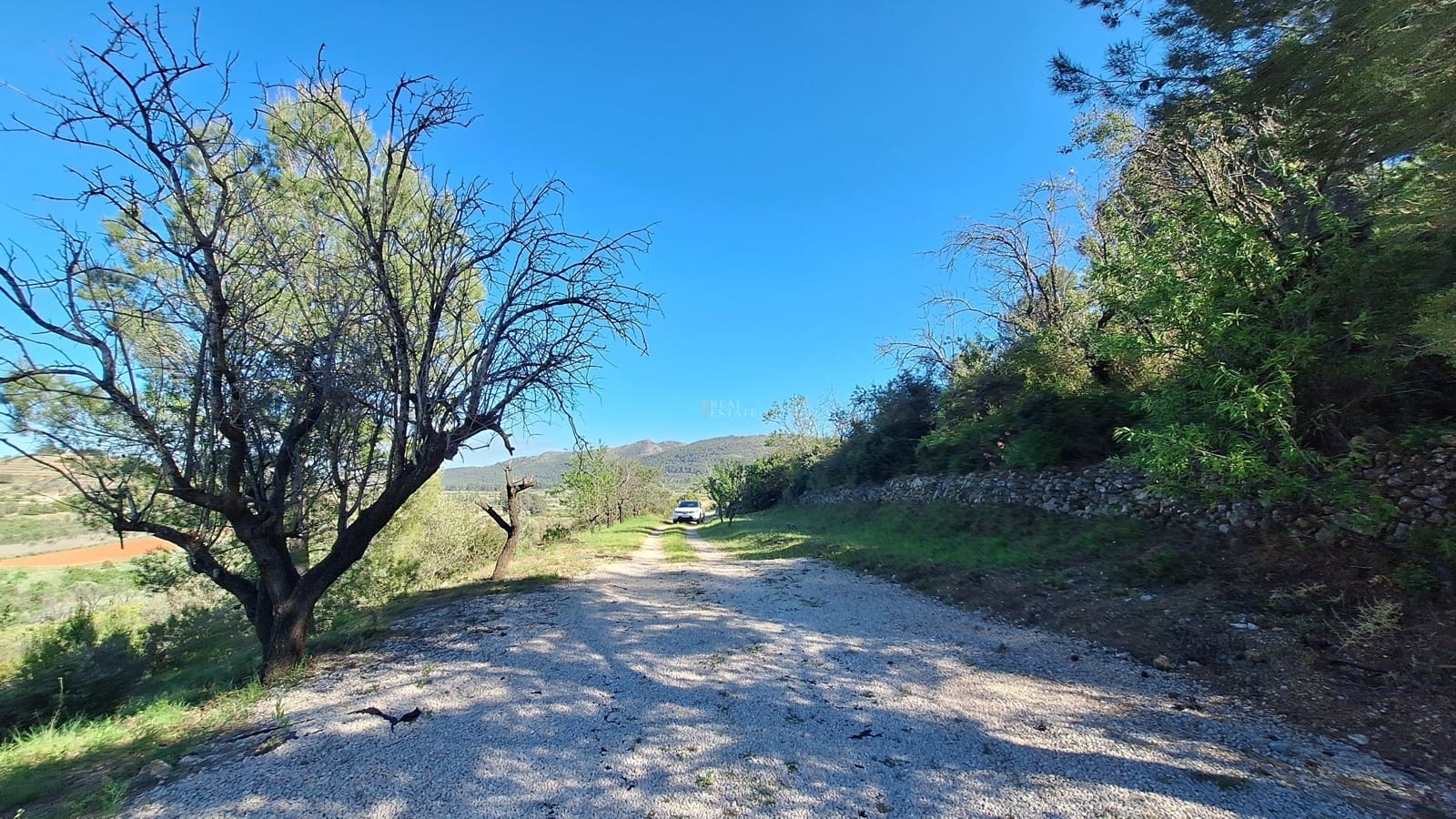 4 sovrum Villa till salu i Parcent med pool - 595 000 € (Ref: 9772561)