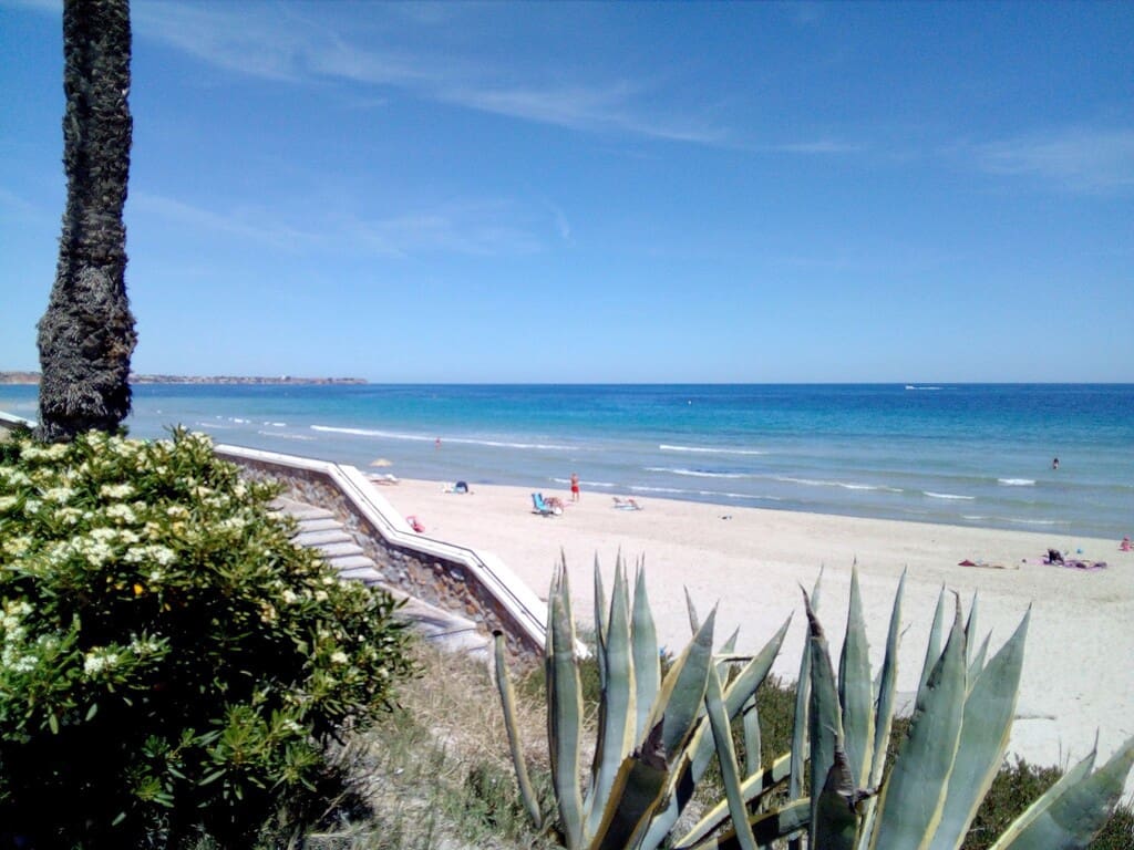 2 bedroom Apartment for sale in Mil Palmeras with pool - € 244,900 (Ref: 10022148)