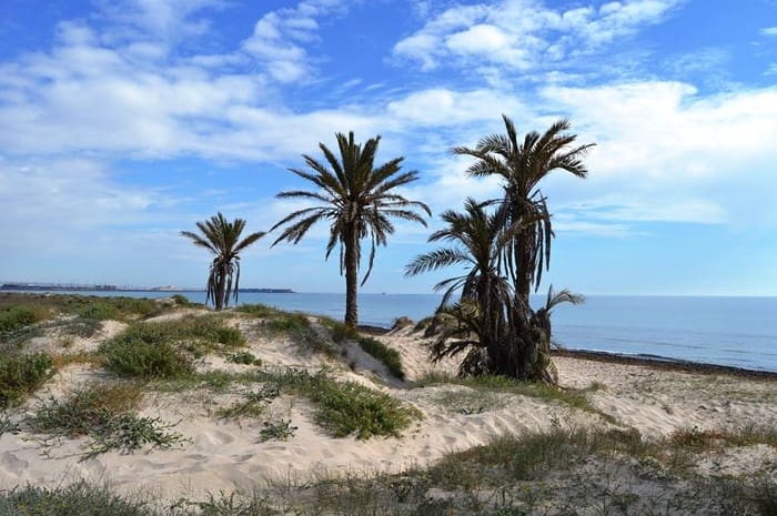 3 soveværelse Byhus til salg i San Pedro del Pinatar med swimmingpool garage - € 369.900 (Ref: 10168364)