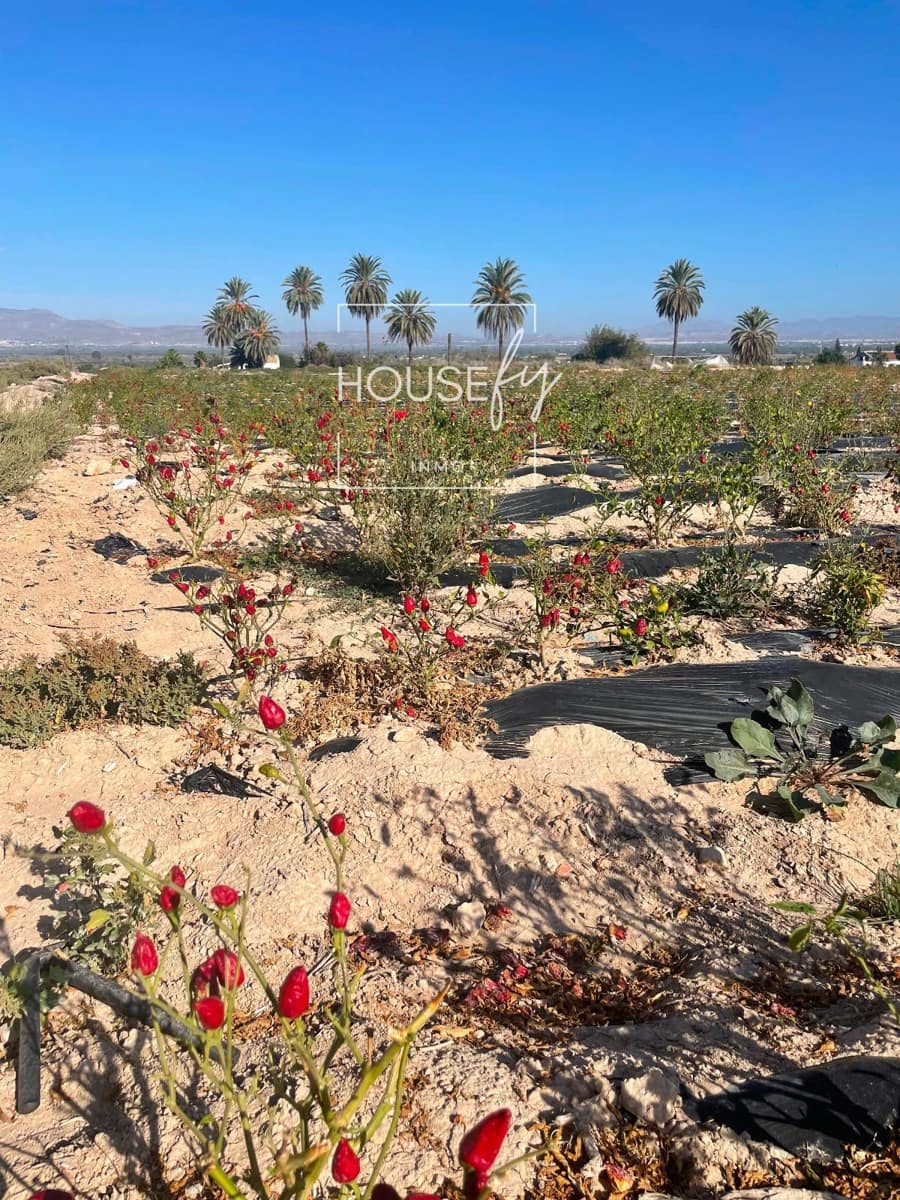 Byggetomt til salgs i La Marina - € 129 000 (Ref: 8623371)