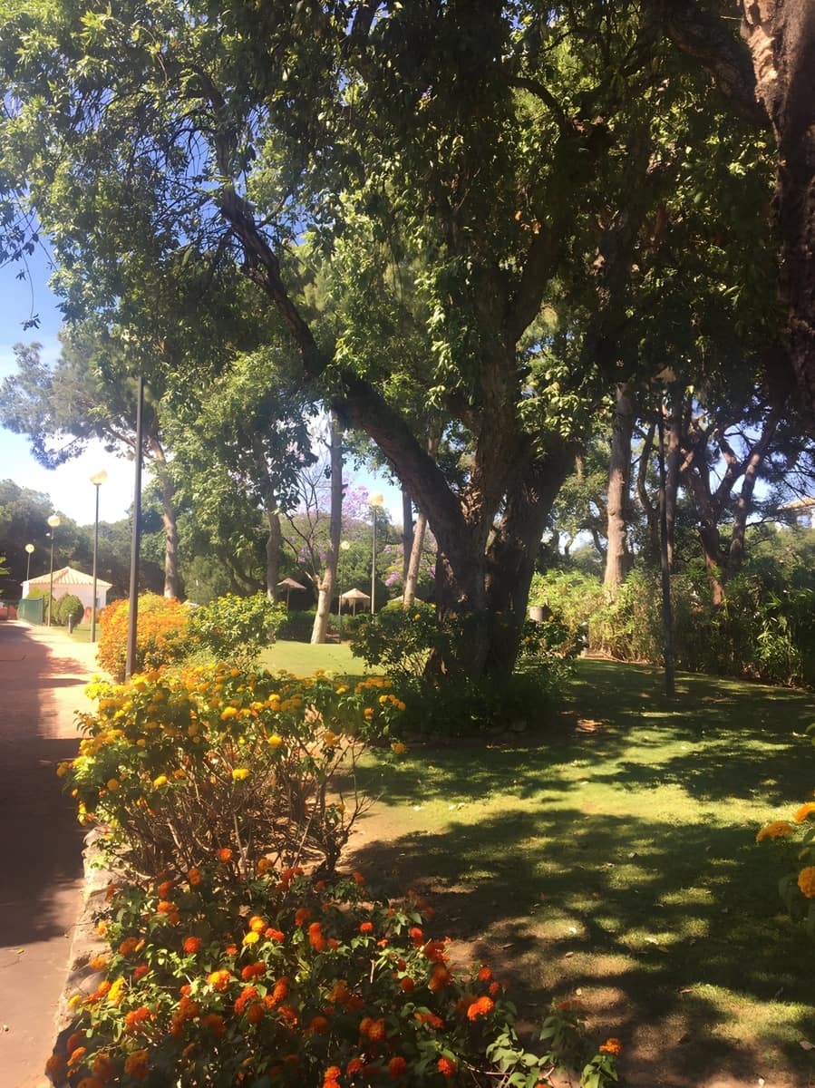 2 soveværelse Lejlighed til salg i Calahonda med swimmingpool garage - € 310.000 (Ref: 9016964)