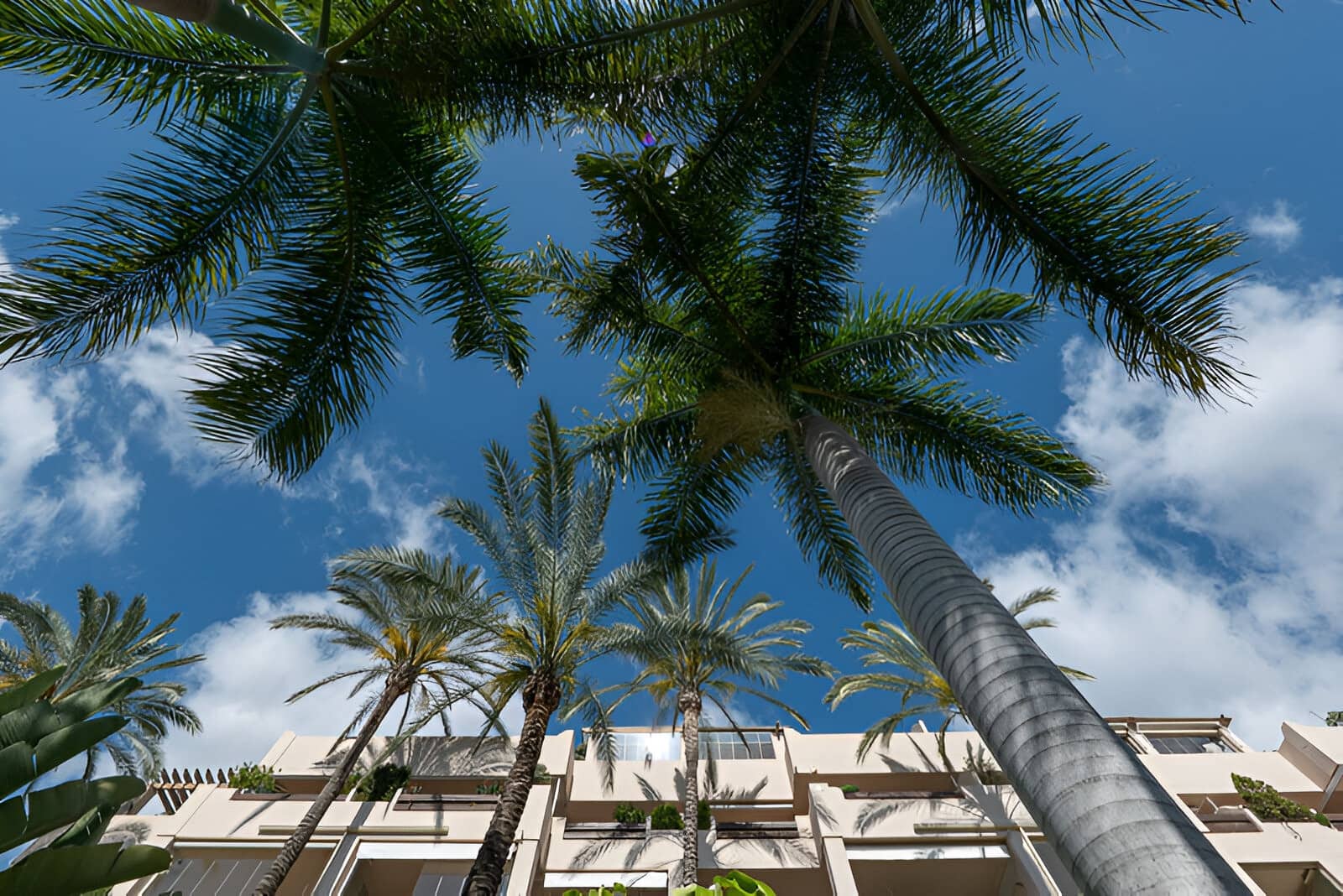 2 sypialnia Apartament na sprzedaż w El Paraiso z basenem garażem - 579 000 € (Ref: 9050859)