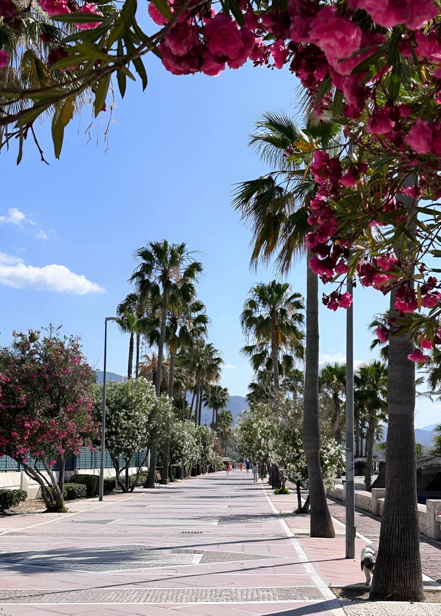 2 soveværelse Lejlighed til salg i Puerto Banus med swimmingpool garage - € 850.000 (Ref: 9149020)