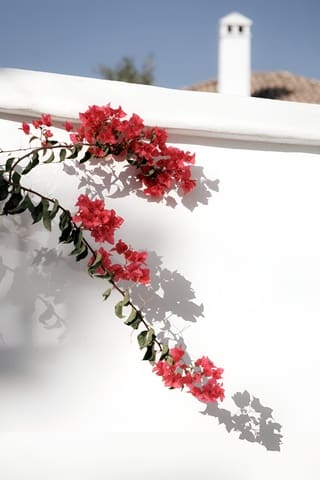 2 sovrum Hus till salu i Marbella - 795 000 € (Ref: 9698158)