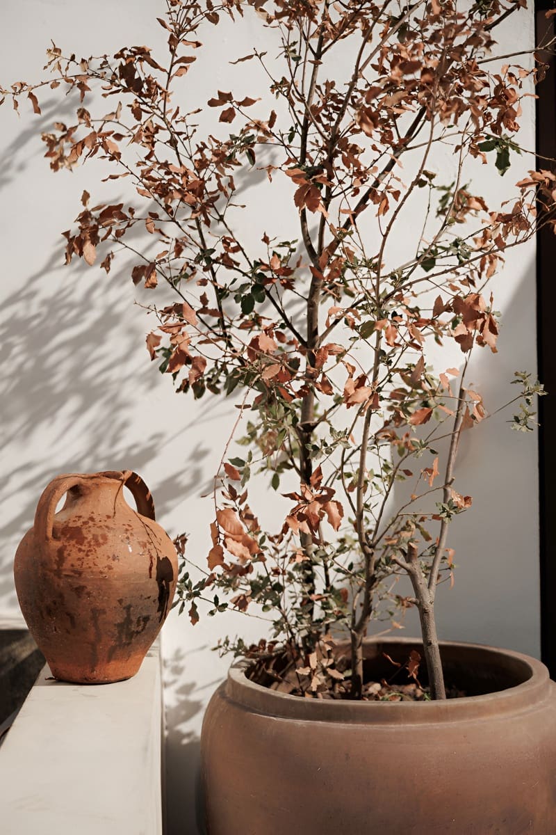 2 camera da letto Casa in vendita in Marbella - 795.000 € (Rif: 9698158)