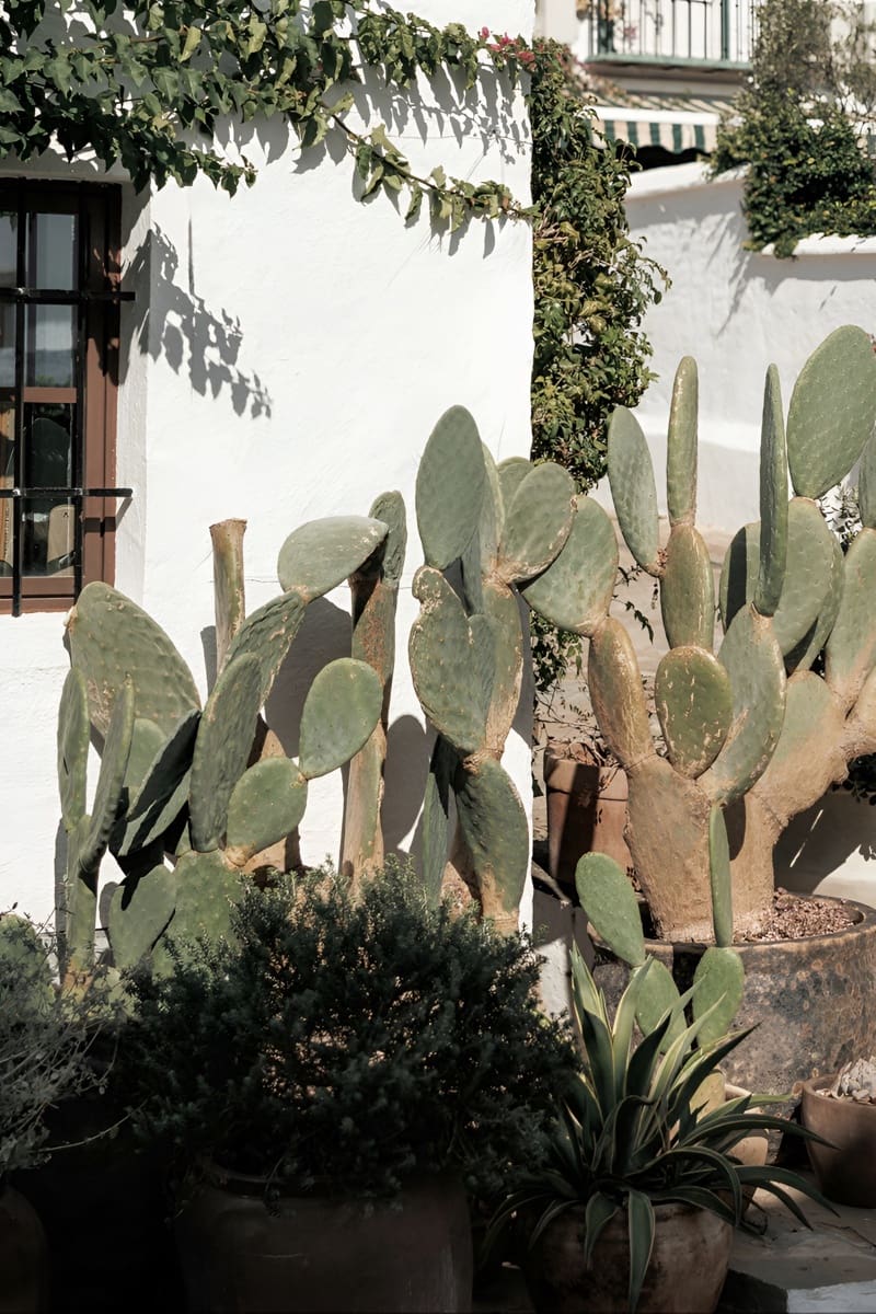 2 camera da letto Casa in vendita in Marbella - 795.000 € (Rif: 9698158)