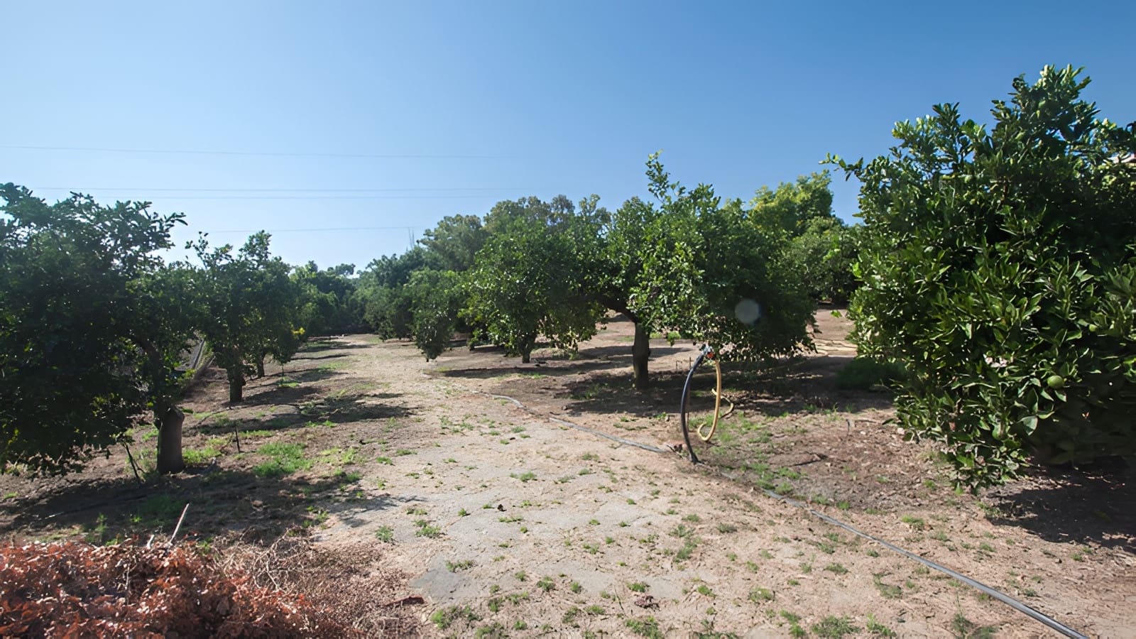 3 sypialnia Finka/Dom wiejski na sprzedaż w El Padron z basenem garażem - 2 000 000 € (Ref: 9788213)