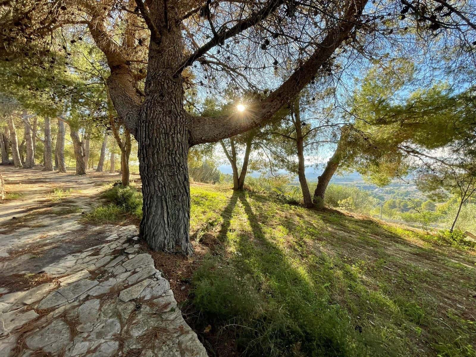 7 sovrum Finca/Hus på landet till salu i Benissa med garage - 441 000 € (Ref: 9125593)