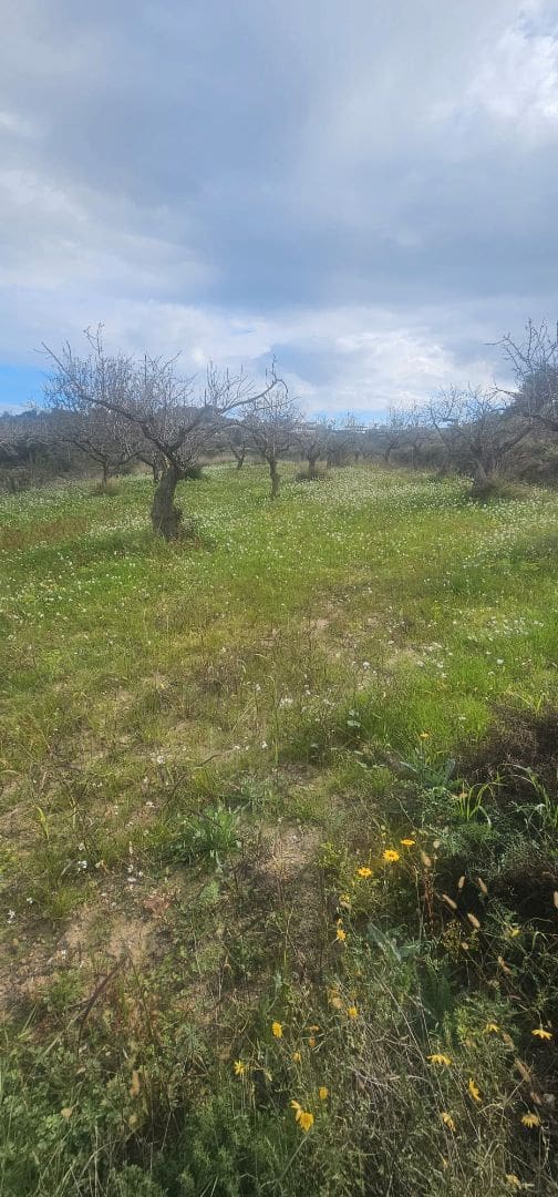 Tomt till salu i Teulada - 240 000 € (Ref: 9296143)