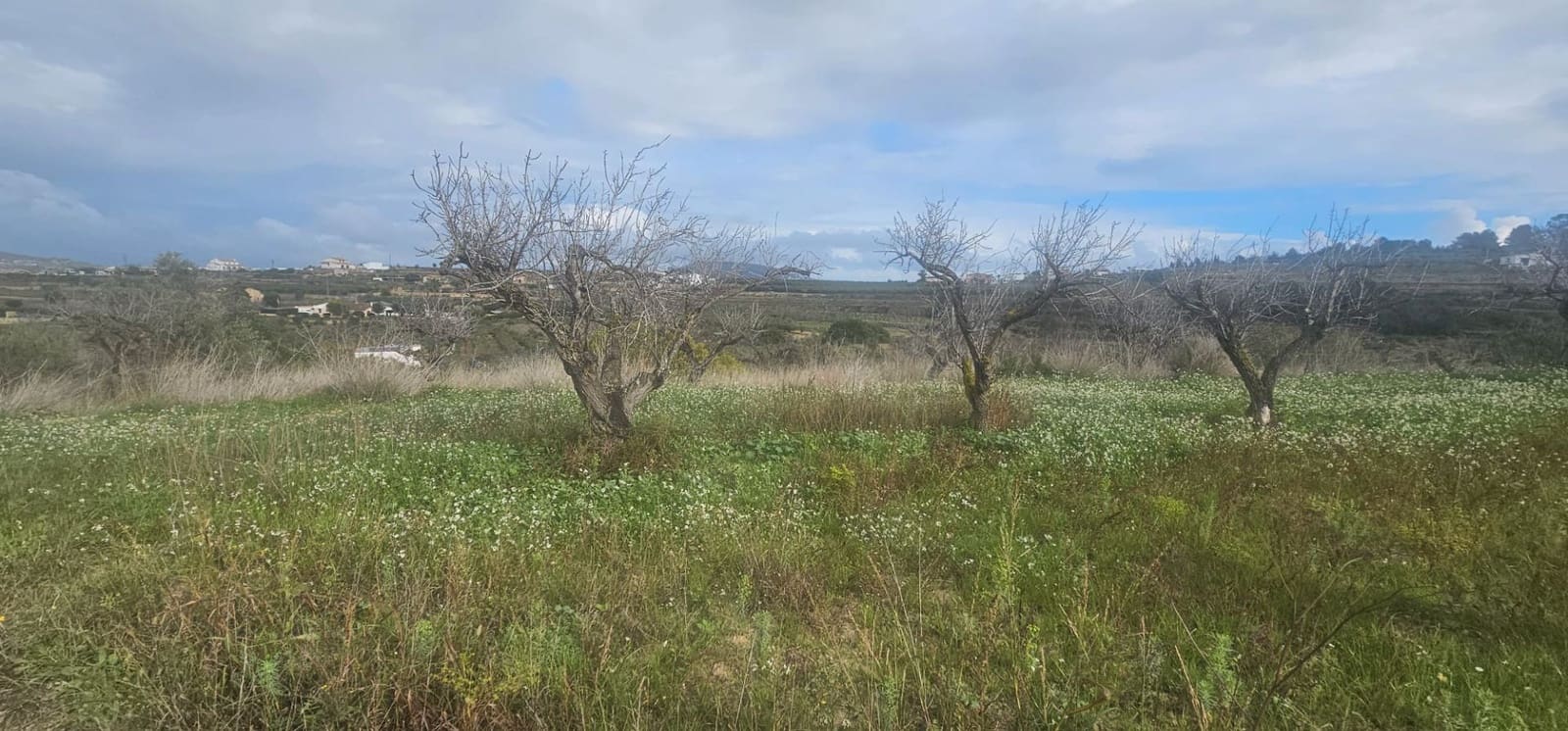 Tomt till salu i Teulada - 240 000 € (Ref: 9296143)