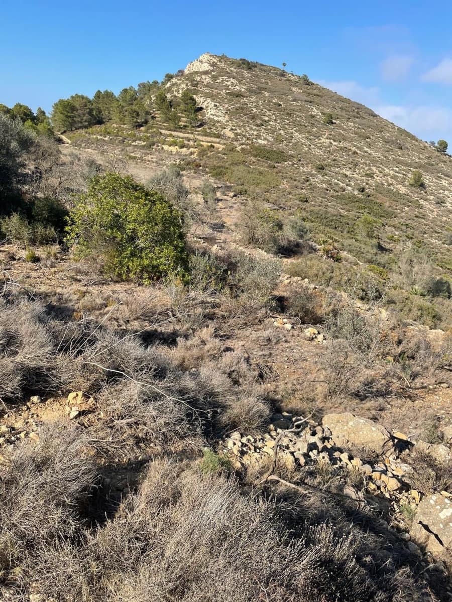 Działka budowlana na sprzedaż w Lliber - 300 000 € (Ref: 9296146)