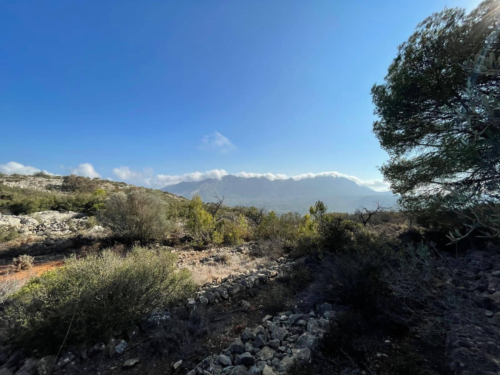 Działka budowlana na sprzedaż w Lliber - 300 000 € (Ref: 9296146)