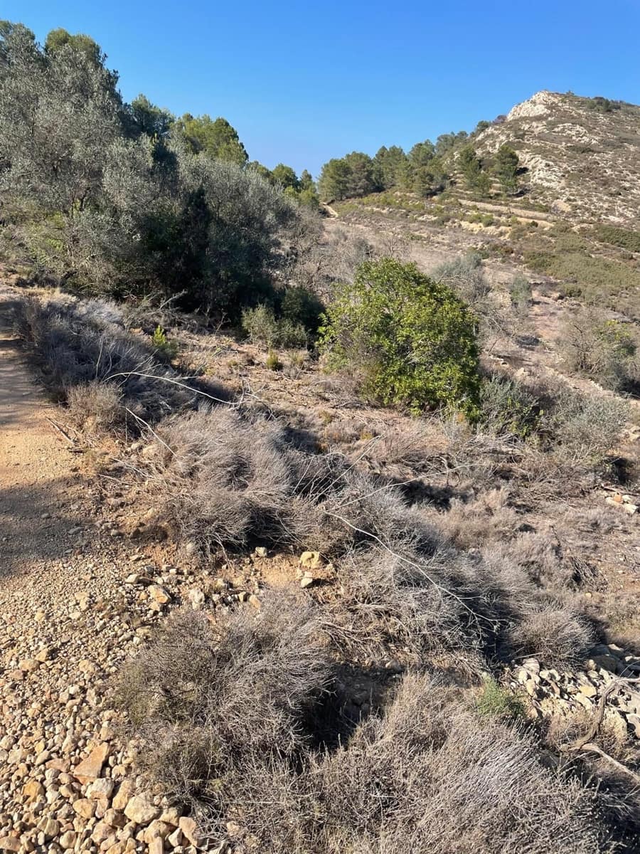 Działka budowlana na sprzedaż w Lliber - 300 000 € (Ref: 9296146)