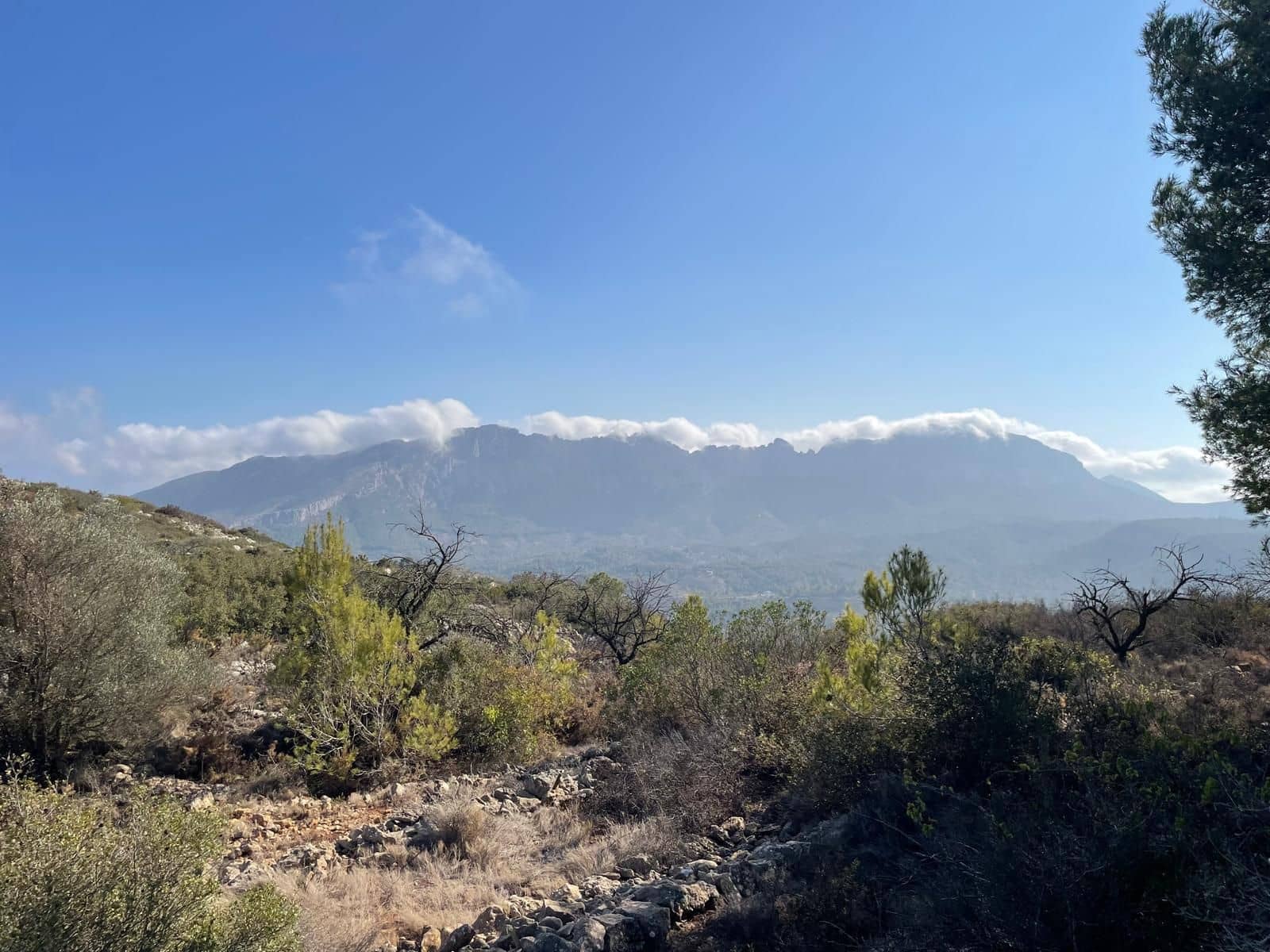 Działka budowlana na sprzedaż w Lliber - 300 000 € (Ref: 9296146)