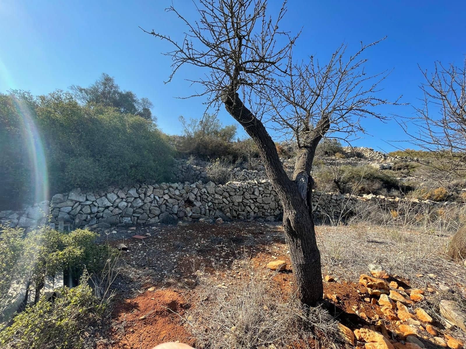 Działka budowlana na sprzedaż w Lliber - 300 000 € (Ref: 9296146)