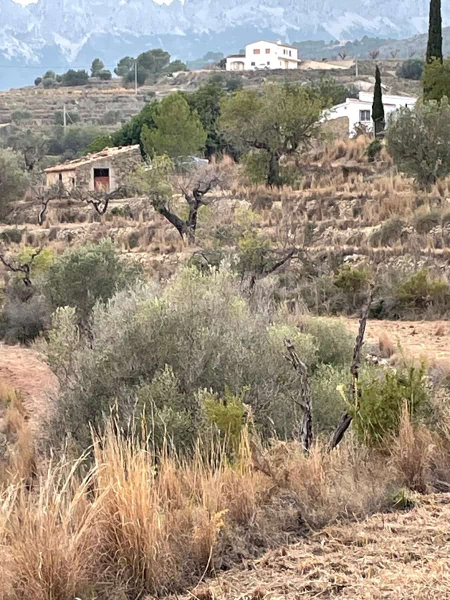 Finca/Hus på landet till salu i Benissa - 201 000 € (Ref: 9296148)