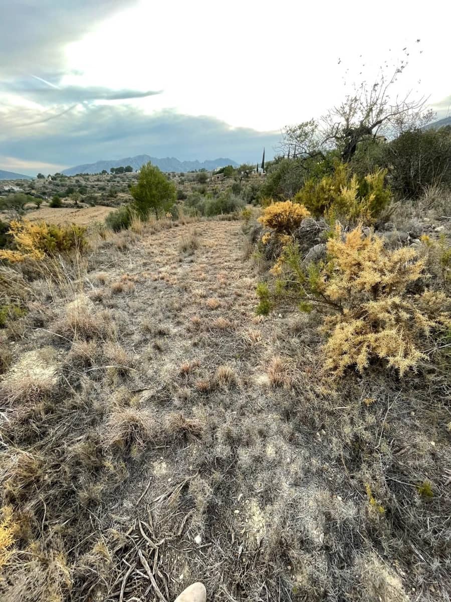 Finca/Hus på landet till salu i Benissa - 201 000 € (Ref: 9296148)