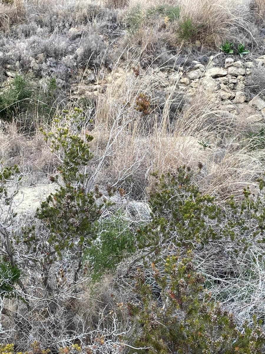 Finca/Hus på landet till salu i Benissa - 201 000 € (Ref: 9296148)