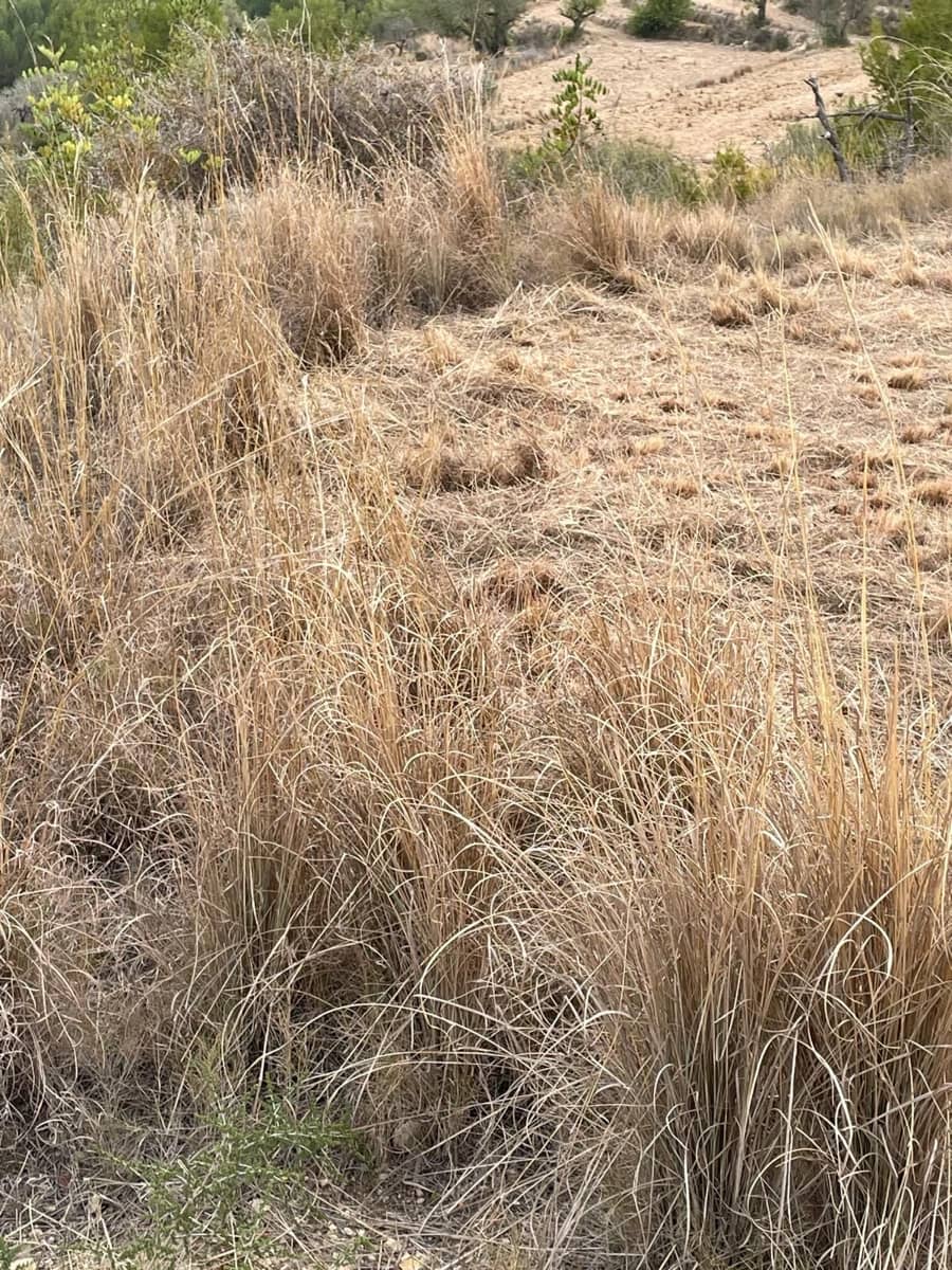 Finca/Hus på landet till salu i Benissa - 201 000 € (Ref: 9296148)