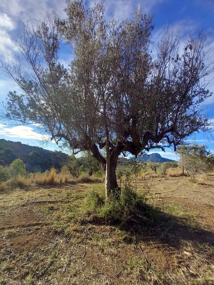 Finca/Hus på landet till salu i Benissa - 201 000 € (Ref: 9296148)