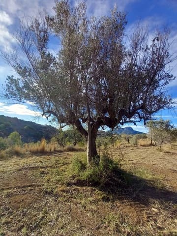 Maalaistalo myytävänä paikassa Benissa - 201 000 € (Ref: 9296148)