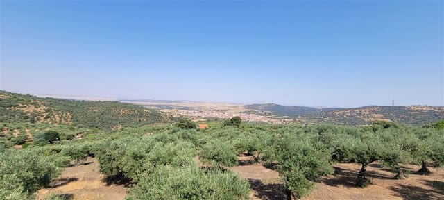 3 soverom Finca/Herregård til leie i Madroñera med svømmebasseng garasje - € 1 200 (Ref: 10078929)