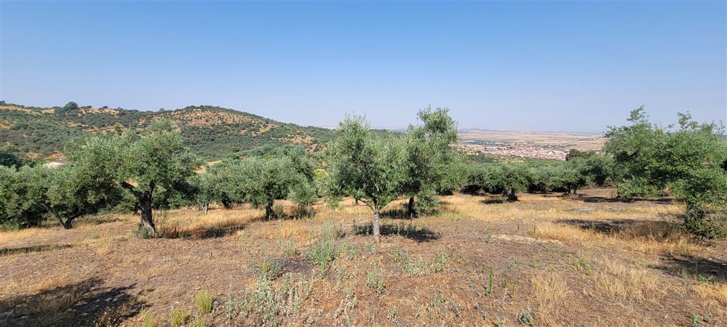 3 soveværelse Finca/Landehus til leje i Madronera med swimmingpool garage - € 1.200 (Ref: 10078929)