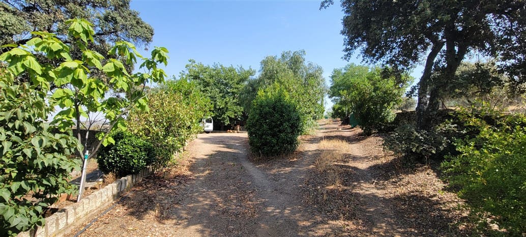 3 soveværelse Finca/Landehus til leje i Madronera med swimmingpool garage - € 1.200 (Ref: 10078929)
