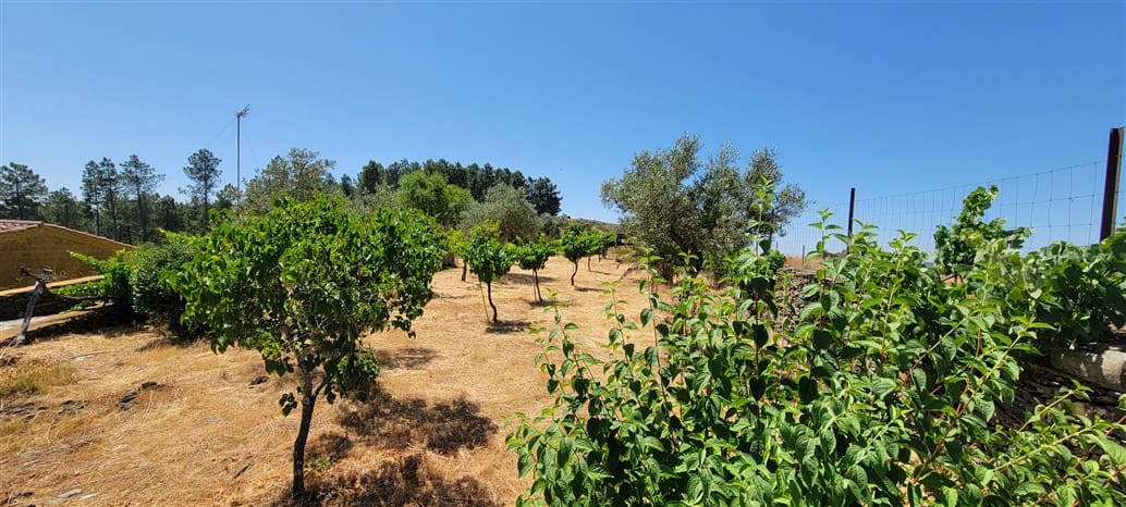 2 bedroom Finca/Country House for rent in Trujillo with garage - € 1,100 (Ref: 10118499)