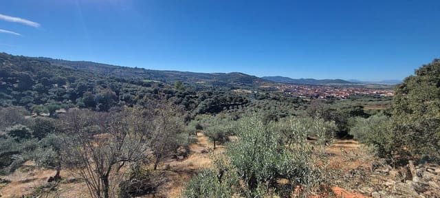 Landgrundstück zu verkaufen in Trujillo - 17.500 € (Ref: 10176106)