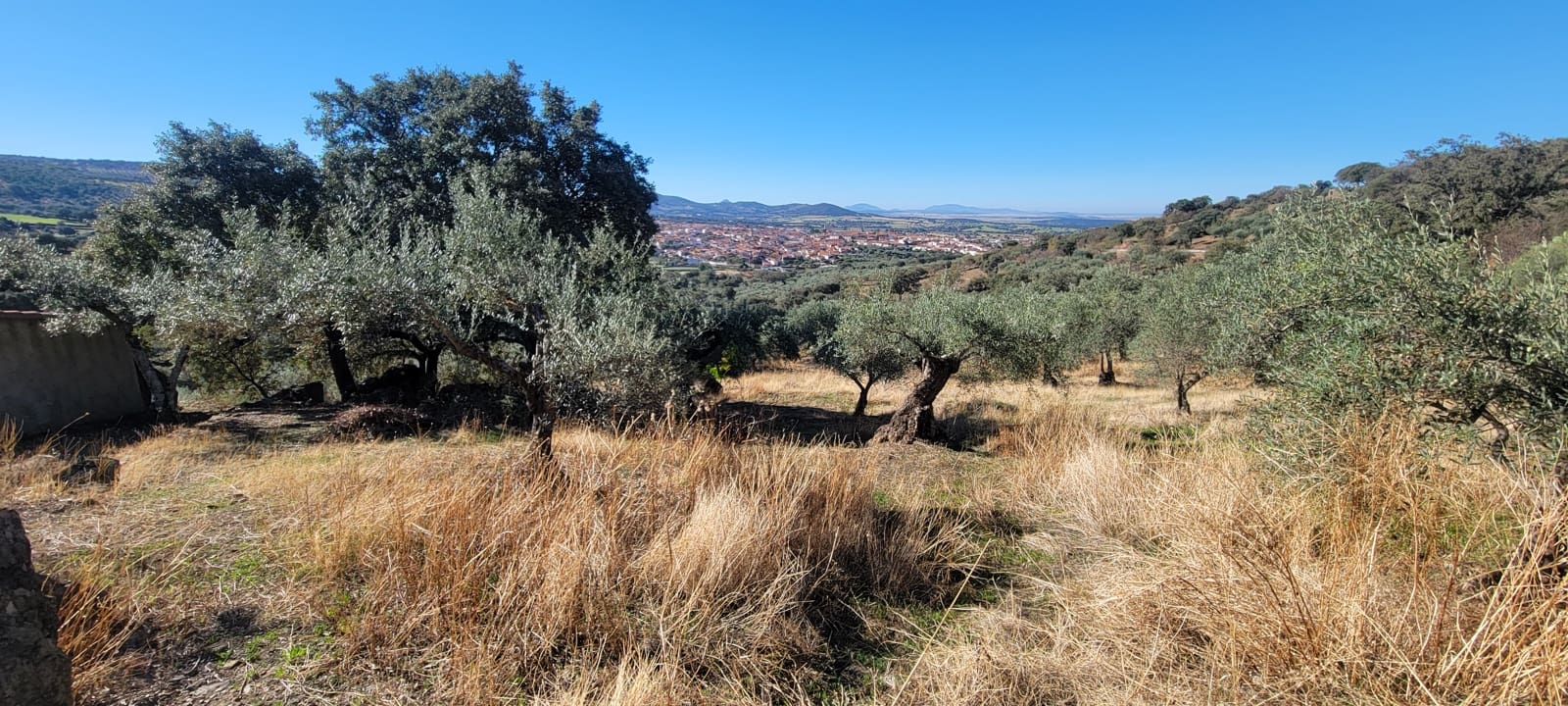 Landgrundstück zu verkaufen in Trujillo - 17.500 € (Ref: 10176106)