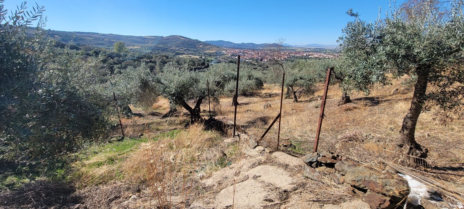 Landgrundstück zu verkaufen in Trujillo - 17.500 € (Ref: 10176106)
