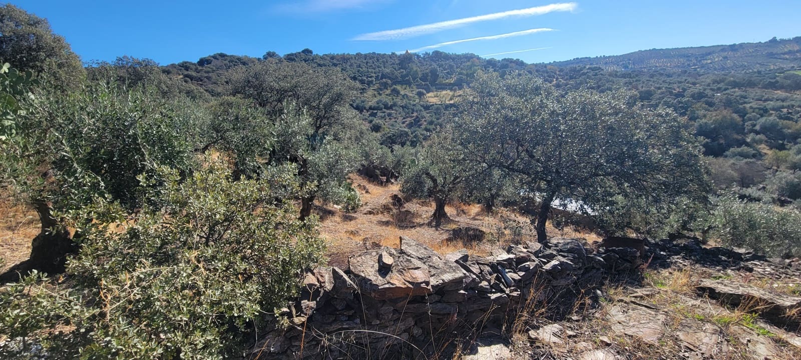 Landgrundstück zu verkaufen in Trujillo - 17.500 € (Ref: 10176106)