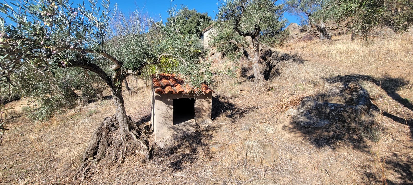 Landgrundstück zu verkaufen in Trujillo - 17.500 € (Ref: 10176106)