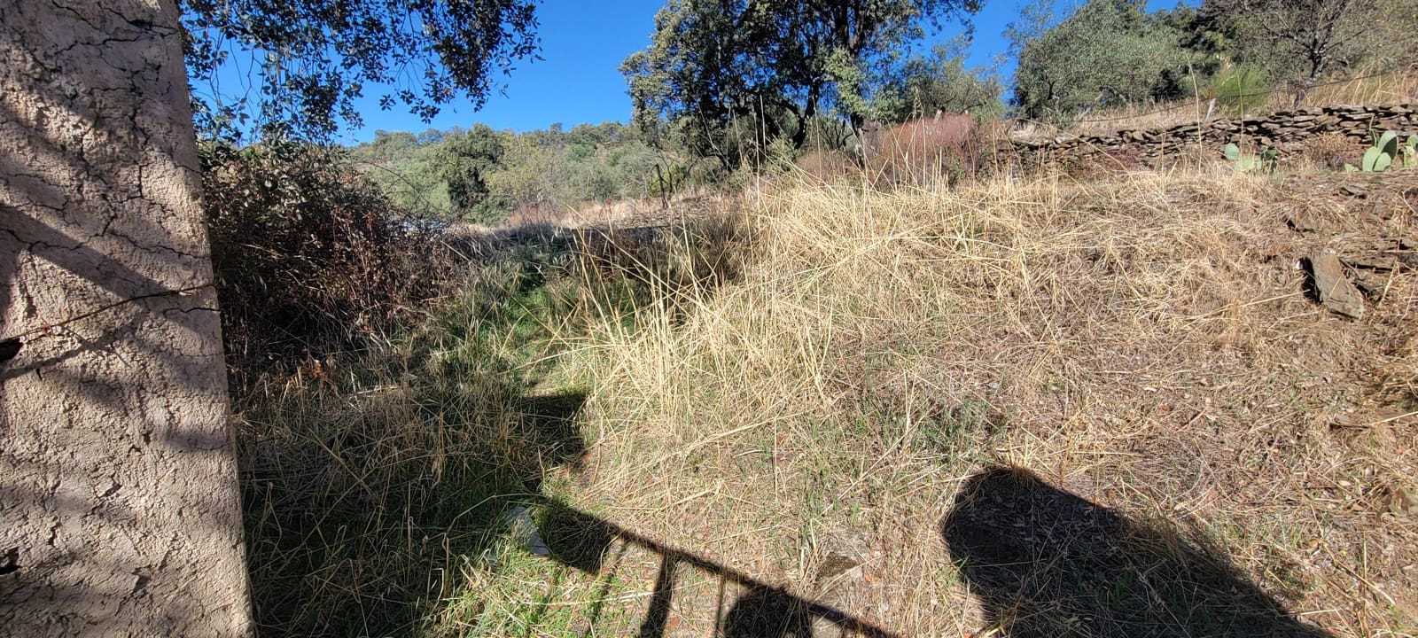 Landgrundstück zu verkaufen in Trujillo - 17.500 € (Ref: 10176106)