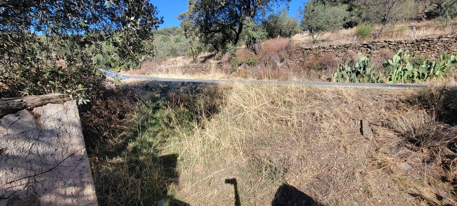 Landgrundstück zu verkaufen in Trujillo - 17.500 € (Ref: 10176106)