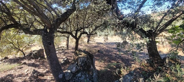 Landgrundstück zu verkaufen in Trujillo - 17.500 € (Ref: 10176106)