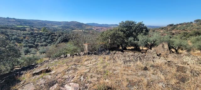 Landgrundstück zu verkaufen in Trujillo - 17.500 € (Ref: 10176106)
