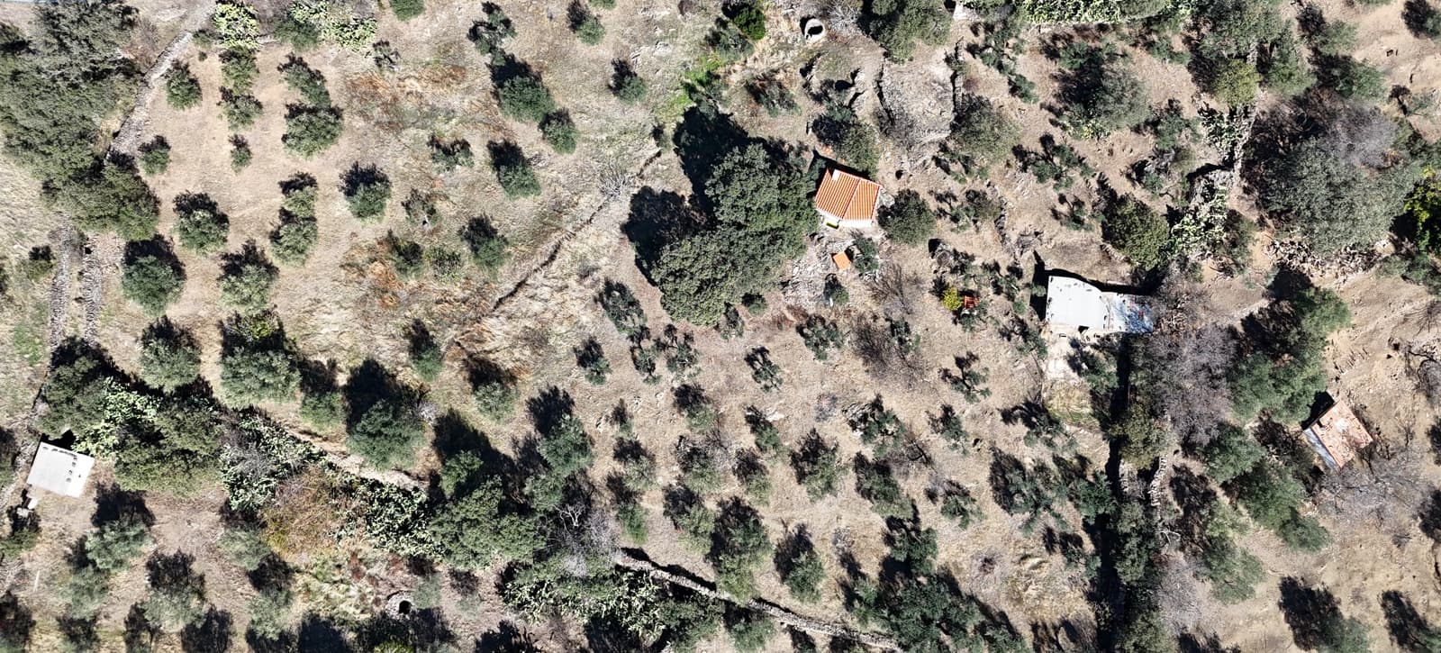 Landgrundstück zu verkaufen in Trujillo - 17.500 € (Ref: 10176106)