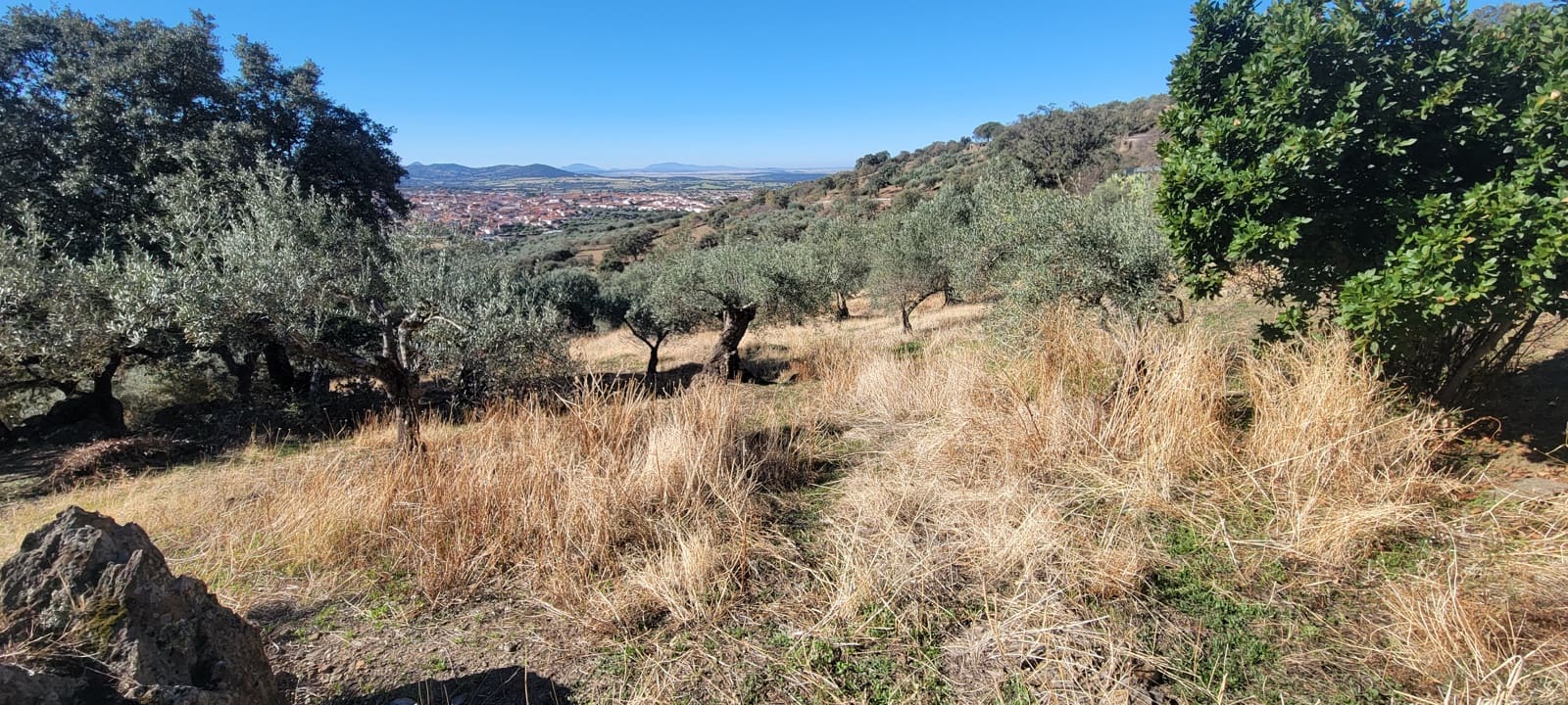 Landgrundstück zu verkaufen in Trujillo - 17.500 € (Ref: 10176106)